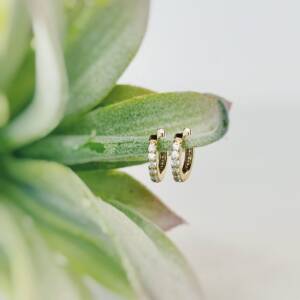 Miniature Earrings